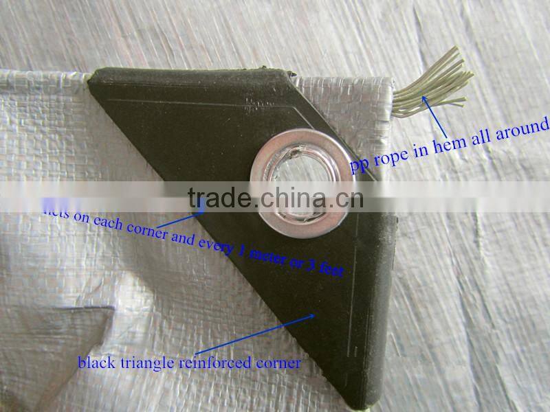 PE Tarpaulin Roll / Durable Coated PE Tarpaulin