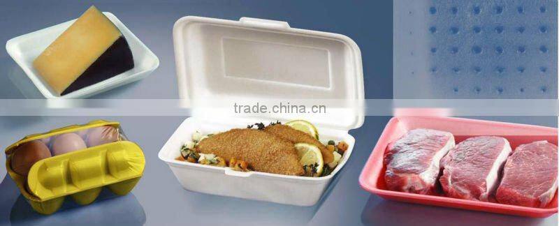 Turnkey project disposable food container production line