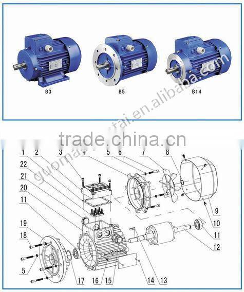 Alternating Current Motor Three-phase Asynchronous Motor Electric Motor