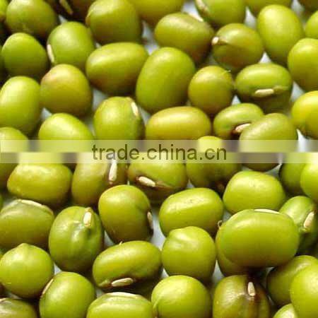all size Green Mung beans 2010 crop