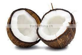 Husked coconuts from tamilnadu