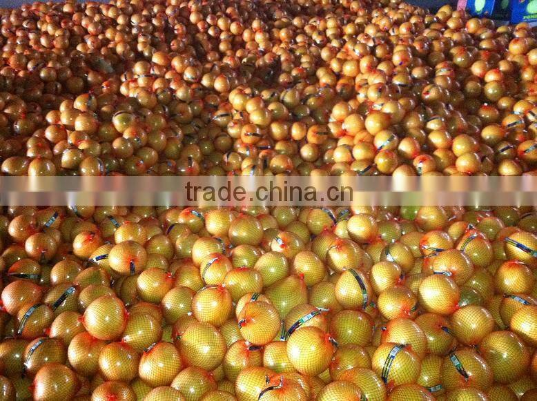 New Crop Honey Pomelo