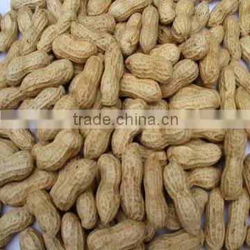 Seaflower type peanut kernel