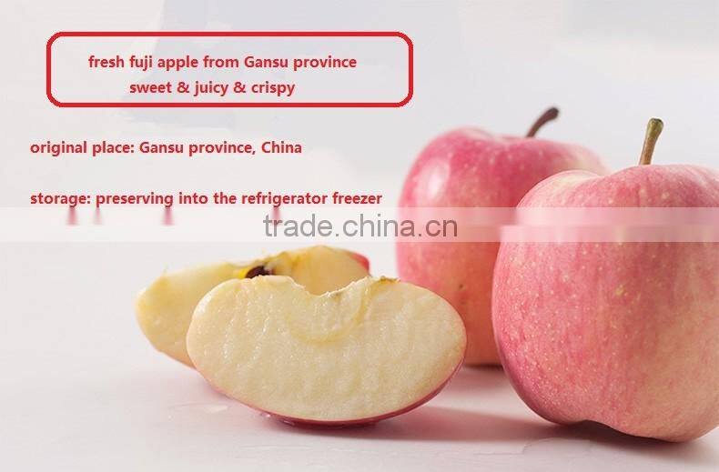 2016 Fresh Fuji apple from China Fresh Fuji apple price