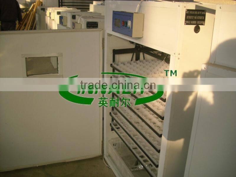 Automatic Egg Collect Machine for Poultry Farm