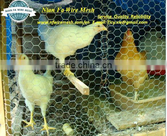 chicken netting (Factoryof Guangzhou)
