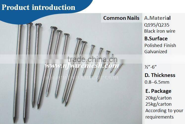 Pakistan high quality polished iron common wire nails for building(Guangzhou Factory)
