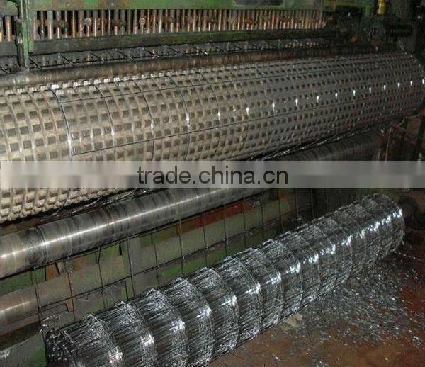 electro galvanized welded wire mesh( Direct Manufacturer)