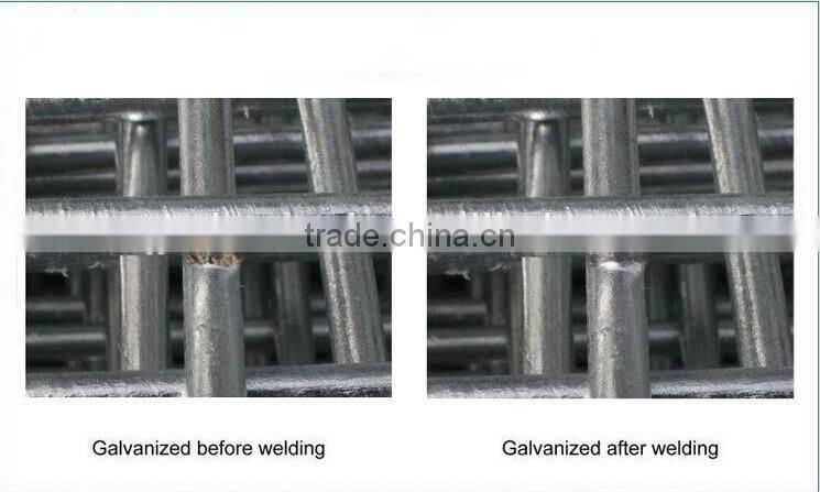 galvanized 1/4 inch galvanized welded wire mesh / lowest price welded wire mesh