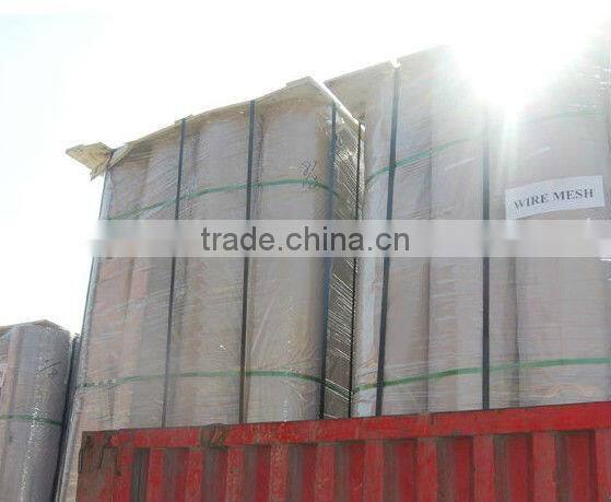 Welded Wire mesh(super quality and competitive price)