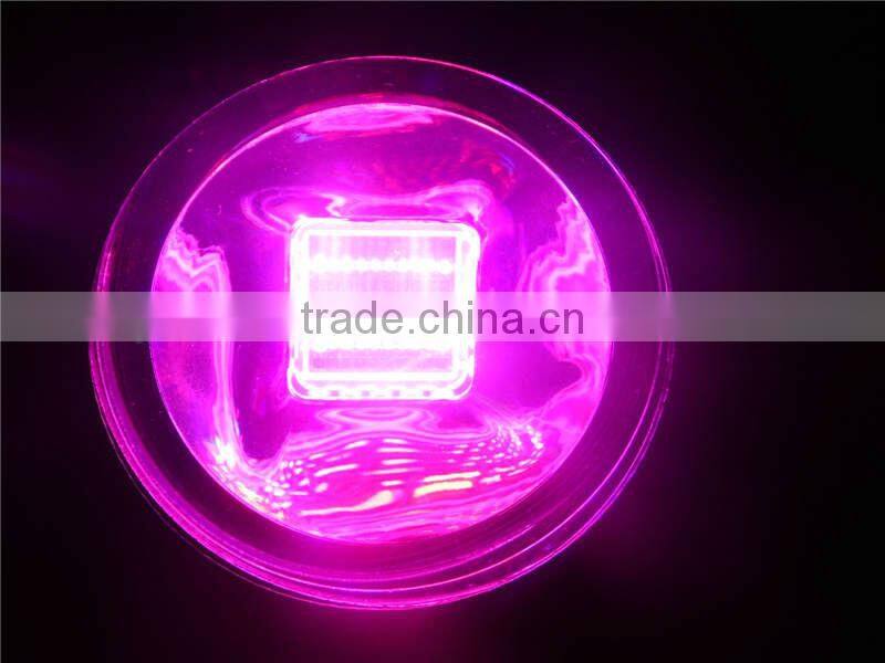 high quality LED Grow Lights for commercial greenhouse