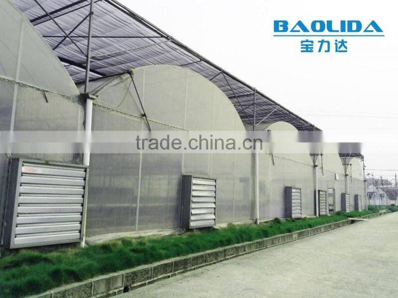 factory price BLD001 plasctic film cover greenhouse for agricultural and commercial use