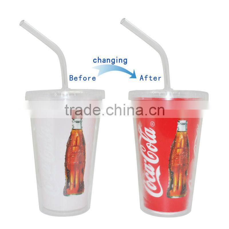 Clear Insulated plastic Tumbler With paper Inserts