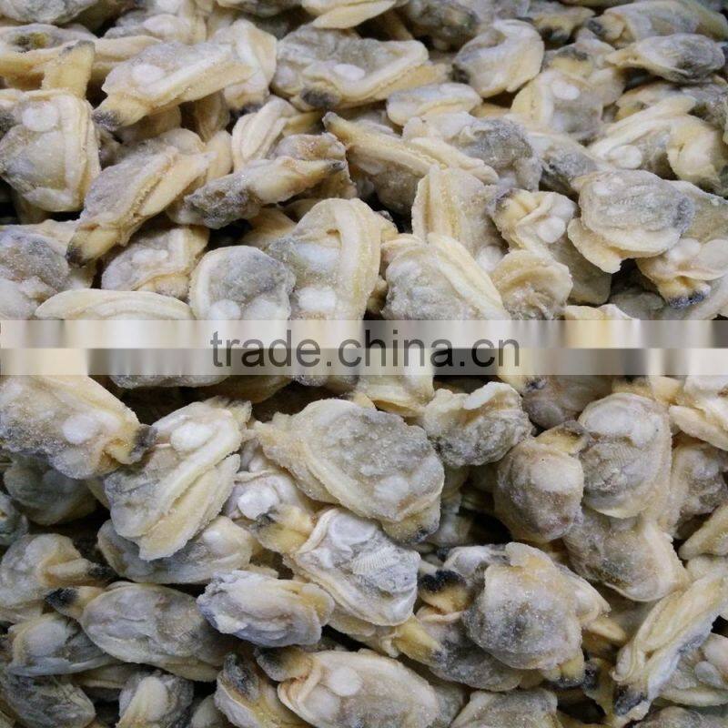 HIGH QUALITY AND HIGH QUANTITY SUPPLY FOR CLAM MEAT