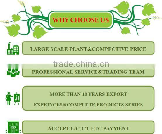 ST551&ST552&ST553 Iron Metal Varnish Sprayed Treatment Agricultural Tools&Garden Bushhammer