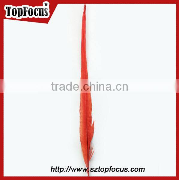 50-55cm assorted color dyed Pheasant tail feathers