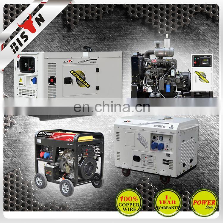 BISON(CHINA) China Supplier Diesel Power SIlent Leading LDE6800T Generator
