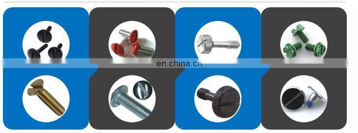 Phillips pan head tapping screw with glue patch