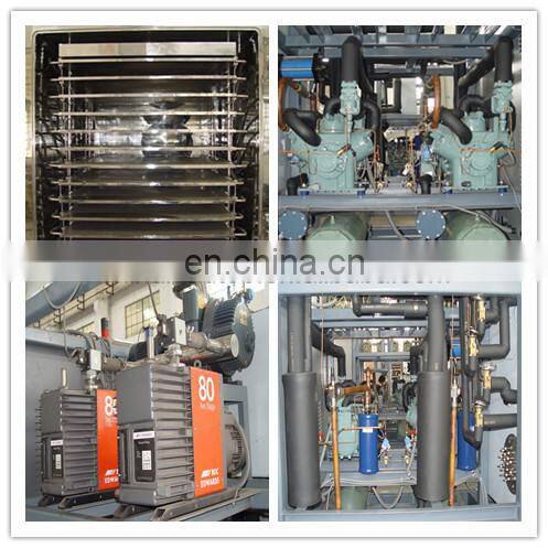LTDG-1F Pharmaceutical Lyophilized Injection Vacuum Freeze Drying Machine