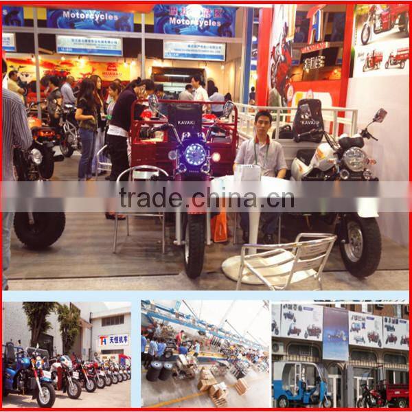 brushless electric cargo trike/large loading cargo bike/bakfiets/ three wheels motorcycle for sale