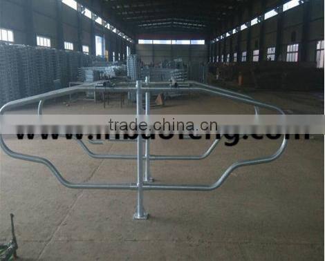galvanized cow cubics cattle loops livestock farm