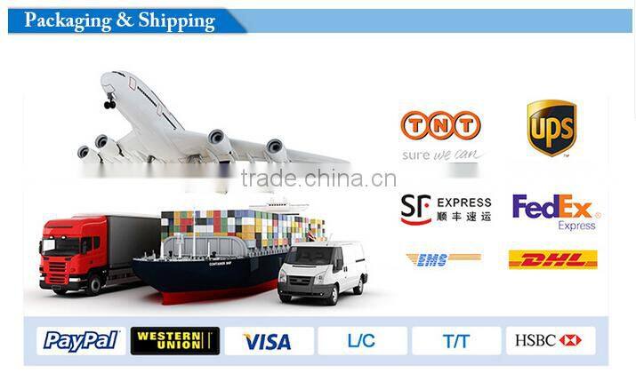 USB charger 5v 2A emergency Car Jump Starter