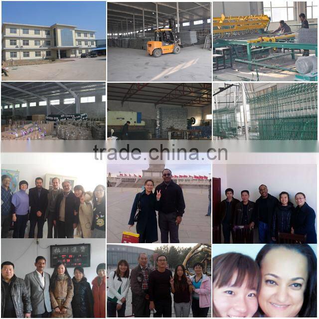 Wire Mesh Security Fence/358 Security Fence/Anti-Climb Fence
