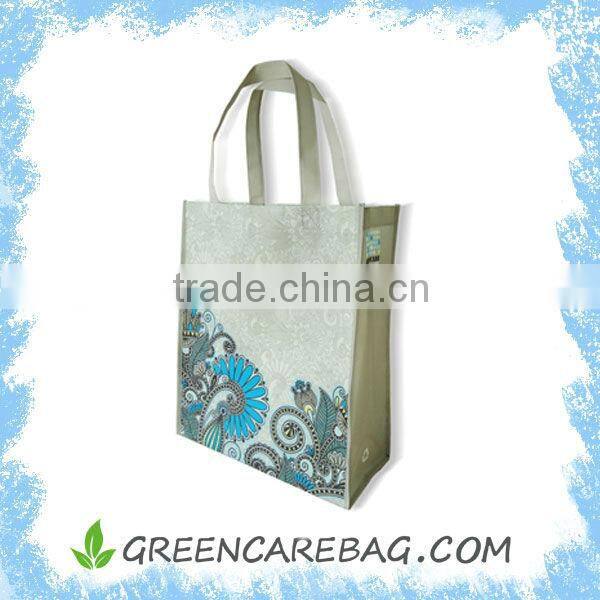 Recyclable PET Non-woven Shopping Eco Bag
