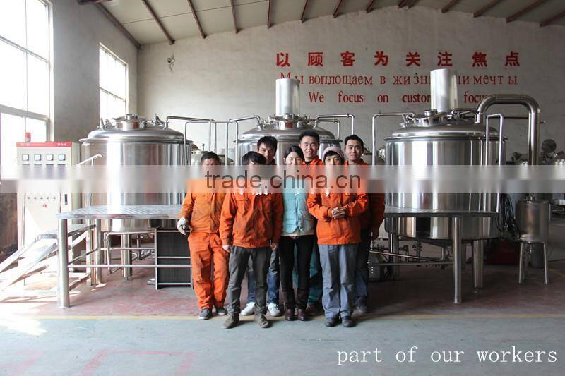 Ruijia 100L 300L 500L industial brewing equipment , commercial beer brewery,mash tun, fermenter,beer keg for sale