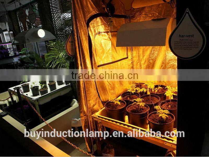 red and blue color induction vegetative grow lamps