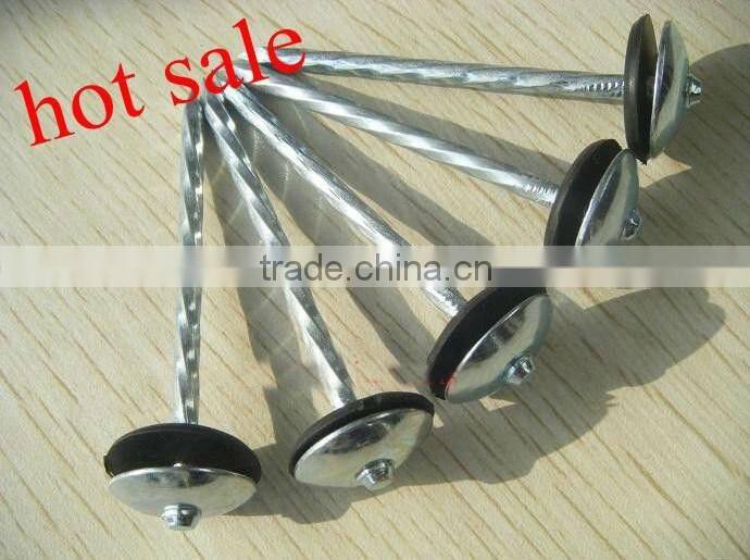 Rapid 13 u staples steel nails manufacturers