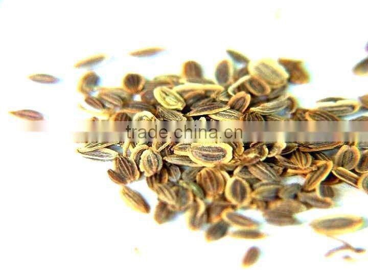 Dill Oil