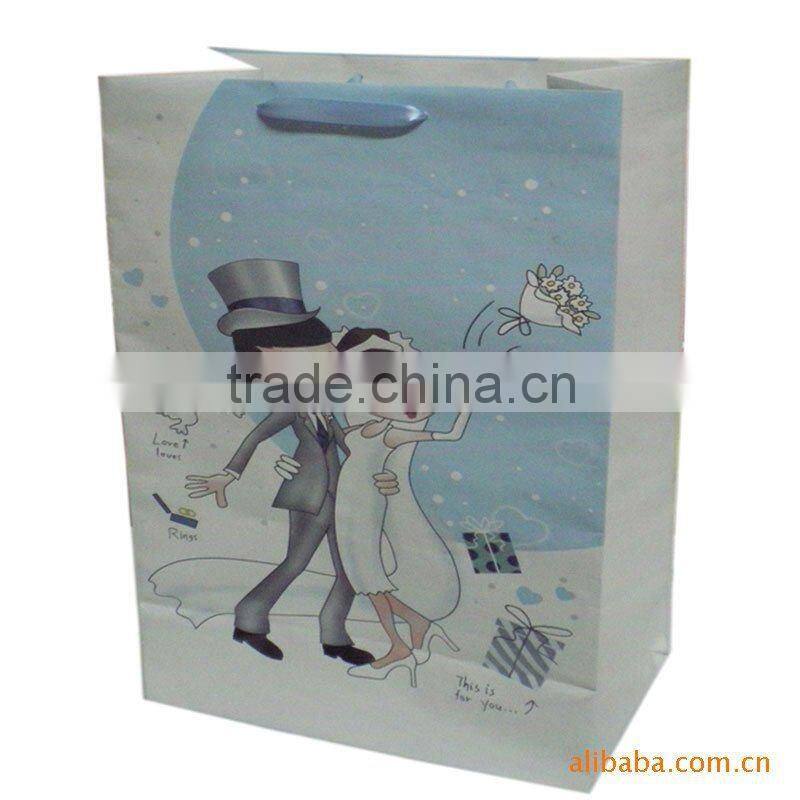 2013 New Luxury Paper Shopping Bag