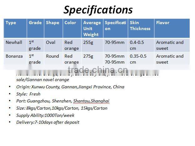 Fresh Gannan Navel Orange, best quality China Navel Orange