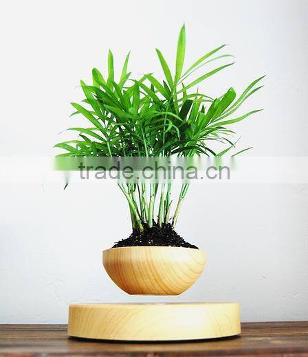 magnetic plant tree pots