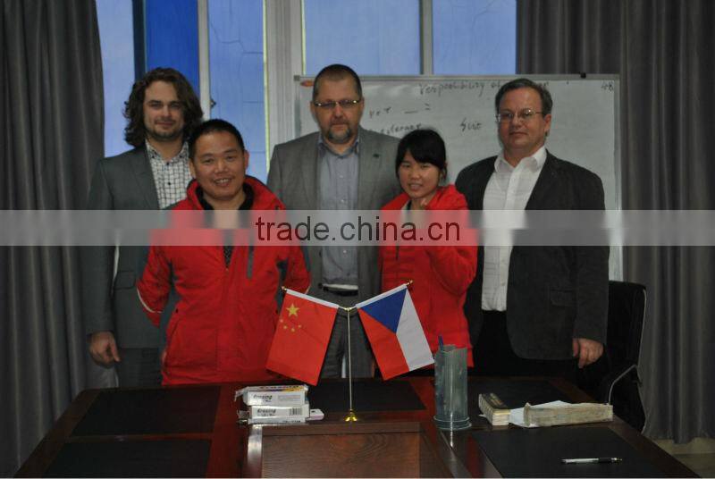 ShenZhen Custom machanical car handle injection mold maker plastic recoverable car handle