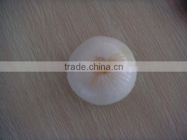 2015 new crop fresh peeled onion in china