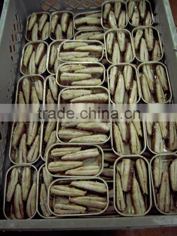 canned sardine in oil