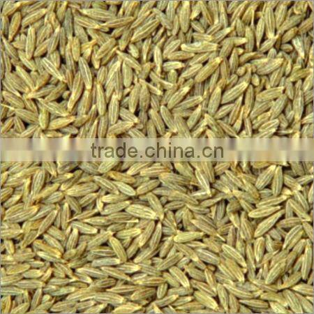 BEST BRONW CUMIN SEED / JEERA FROM INDIA