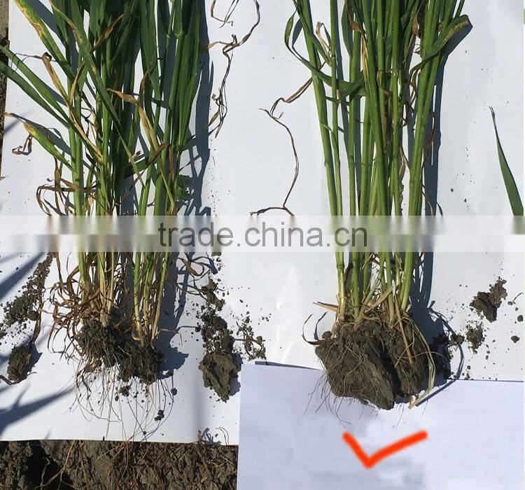 100% water Soluble Humic Fulvic Acid Concentrate From Leonardite