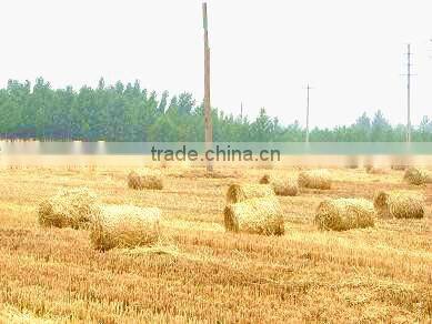 The lowerst price Mini Hay Bale for sale/small round hay baler
