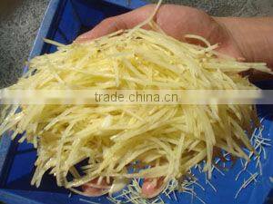 TW-802B NEW ARRIVAL Best quality Automatic ginger slice cutting machine (Video)