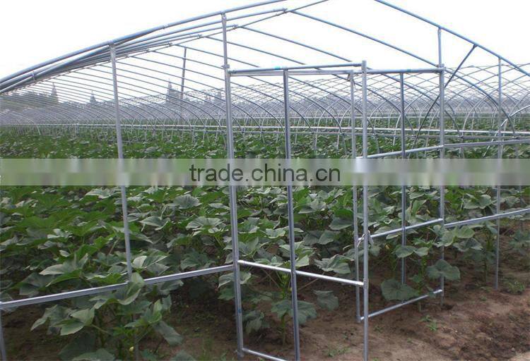 PE film coverd plastic tunnel greenhouse used for vegetables and fruits