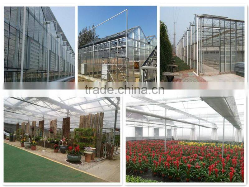 High quality 12m multi-span glass greenhouse grow tent for vegetables