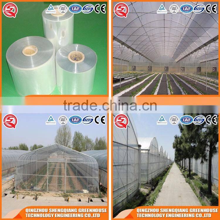 2017 China plastic tunnel greenhouse agriculture made in China