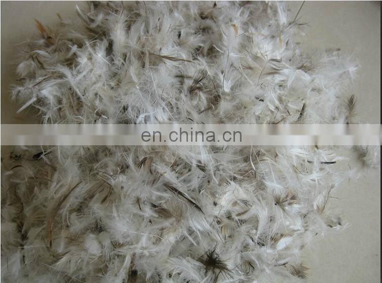 Wholesale market agents raw material 10% grey duck down