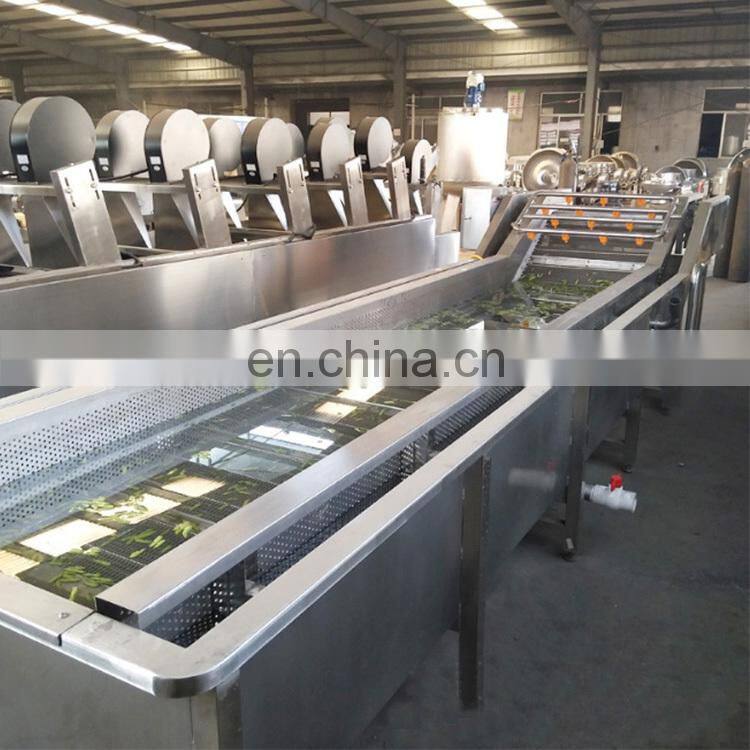 industrial automatic 100kg 500kg vegetable fruit washing machine