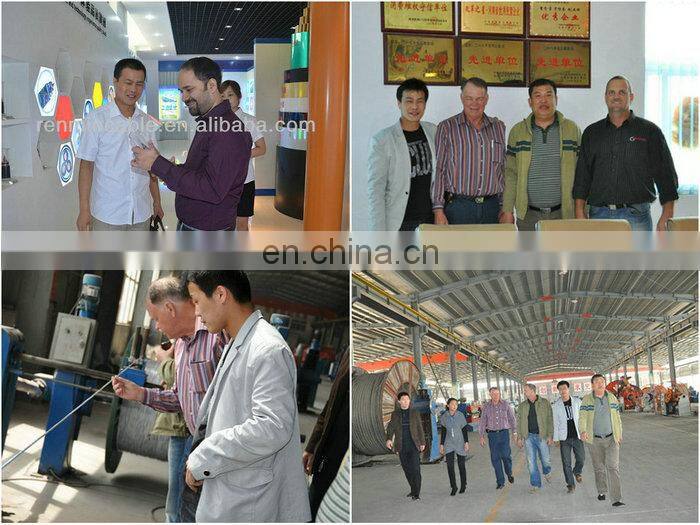 0.6/1kv xlpe/pvc insulation aluminum conductor duplex/triplex/Quadruplex aerial bunched cable