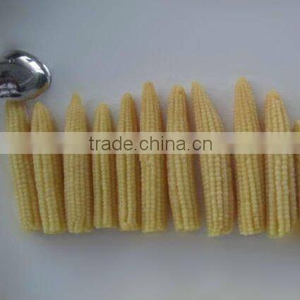 fresh baby corn Canned baby corn