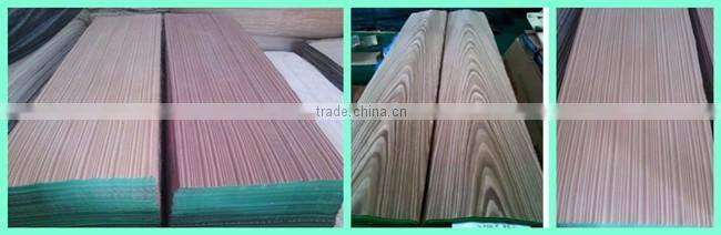 gurjan recon face veneer